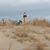 Kathy Breitbach's profile image