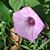Wendy Mahr's profile image