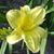 Suzanne Freitas's profile image
