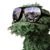 Davidson Rod's profile image