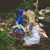 Meaghan Quinlan-Krueger's profile image
