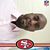 Sherron Phillips's profile image