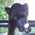 Ann Brennan Geers's profile image