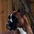 Vanja Milic's profile image