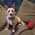 Paulette Wright's profile image