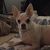 Robyn Christenson's profile image