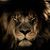 Jamie Blackshear's profile image
