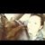 Robin Higbee's profile image