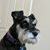 Brian Baldridge's profile image