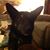Kathy Reisetter Houck's profile image