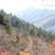 Kathryn Snoddy Martinez's profile image