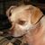 Retta Blocksom's profile image