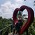Anne Zeigler's profile image