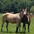 Terri Jackson's profile image