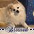 Tina Marie's profile image