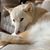 Marion Secor's profile image