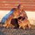Dave Smith's profile image