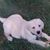 Chrissy Colvin's profile image