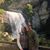 Kelli Thompson Cox's profile image