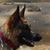 Anke Bradley's profile image
