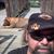 Jerry Carr's profile image