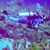 Anna Marisseau's profile image