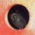 Bob Mills's profile image