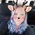 Afton Harris's profile image