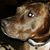 Lisa Jacobsen's profile image