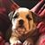 Rob Trivett's profile image