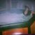 Tania Medina's profile image