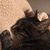 Debi Hendershott Kilmartin's profile image
