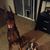 Nancy Steadman Watkins's profile image