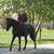 Rosie Ryther King's profile image