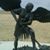 Joe Lorence's profile image