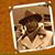Hakan Onursal's profile image