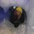 Ashley Elizabeth Brown's profile image