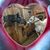 Nichole Stonehouse's profile image