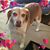 Frankie Jones's profile image