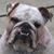 Robert Herrold's profile image