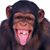 Dana R Pattington's profile image