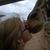 Kathy Forrester's profile image