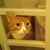 Linda Brown's profile image