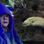 Amy Lesko's profile image