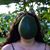 Sheila Dirth's profile image