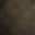 Los's profile image