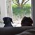 Diane Woodall's profile image