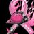 Lee Cartwright's profile image