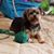 Donna Allen's profile image