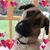 Kathy Harbaugh Burow's profile image